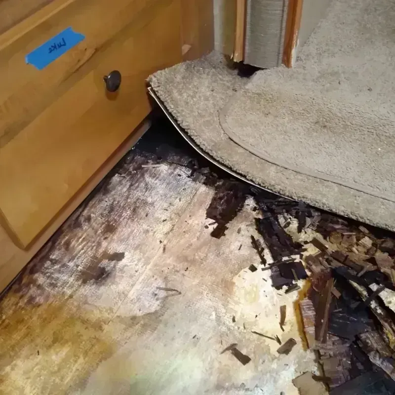 Wood Floor Water Damage in Jackson, MN